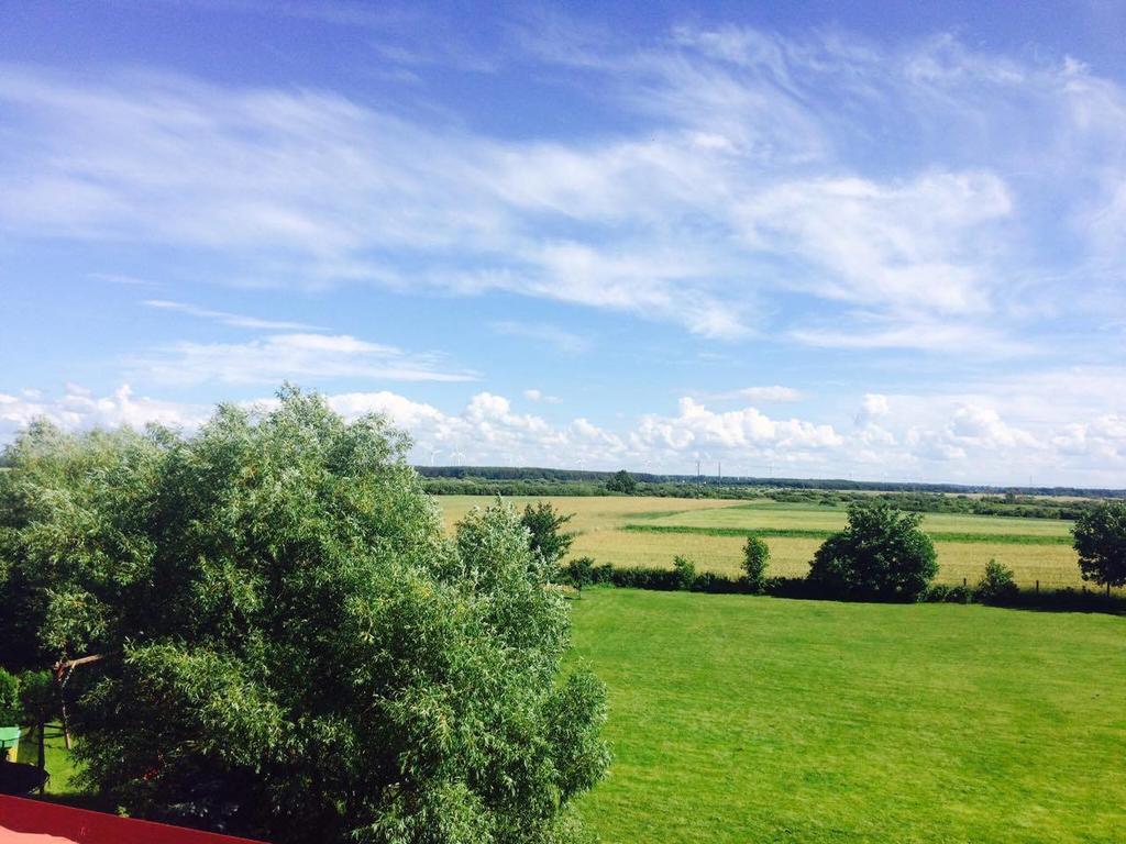 Noclegi Beata Dąbki Exterior foto