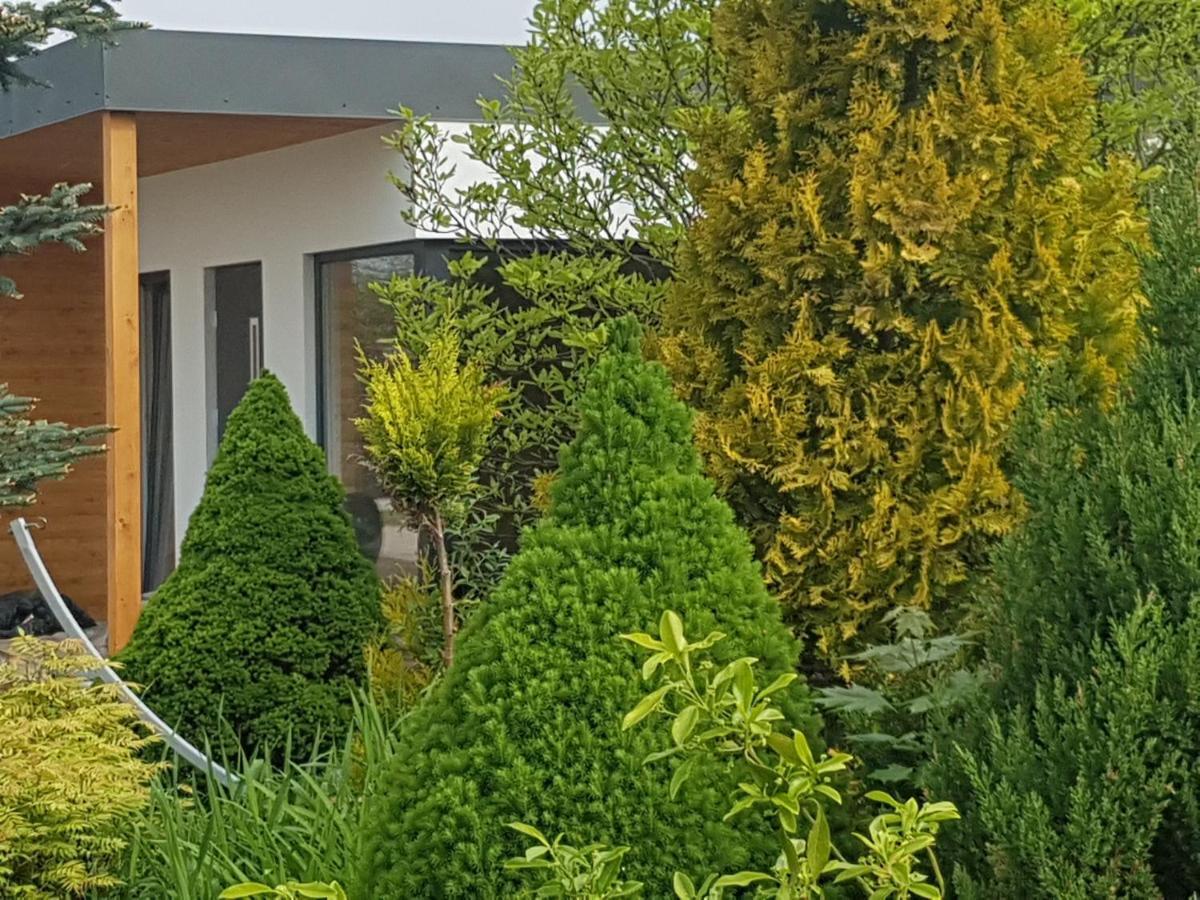 Noclegi Beata Dąbki Exterior foto